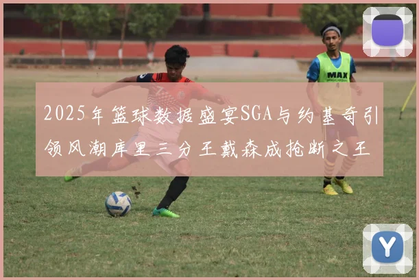 2025年篮球数据盛宴SGA与约基奇引领风潮库里三分王戴森成抢断之王