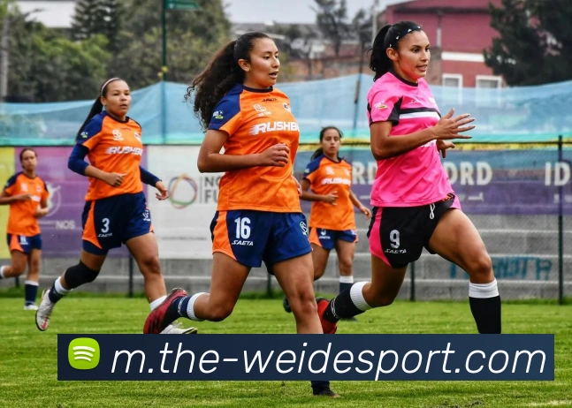 伟德体育平台生态图