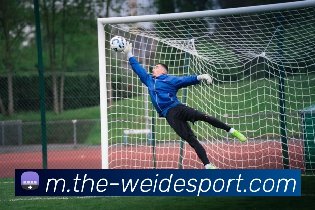 伟德体育全站App